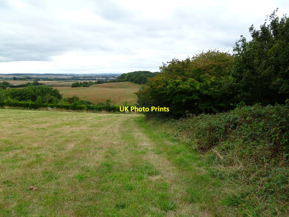 Photo 6"x4" Uppington, footpath Chalbury\/SU0106 c2011