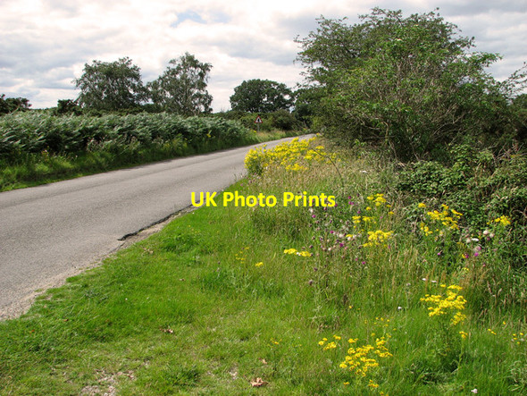 Photo 6"x4" This way to Westleton on Dunwich Road Westleton c2011