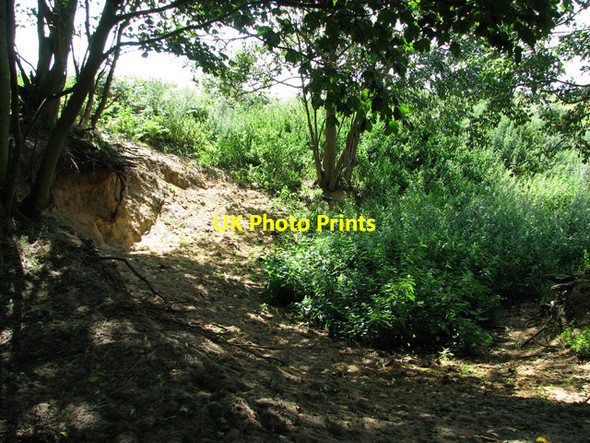 Photo 6"x4" Disused sand pit on the edge of Broom Covert, Leiston Leiston c2011