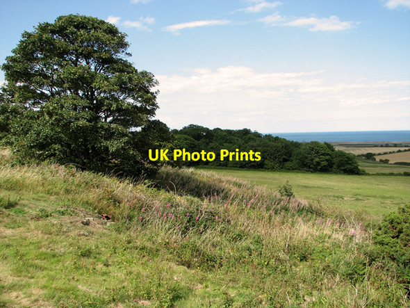 Photo 6"x4" View towards Crockley's Plantation from The Hangs, Cley Newgate\/TG0543 c2011