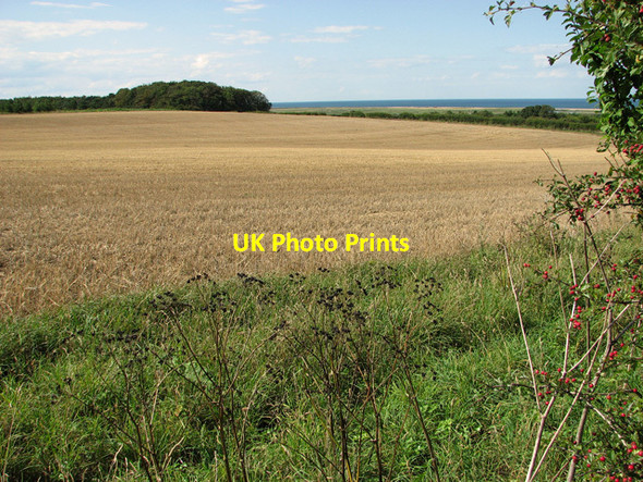 Photo 6"x4" Harvested field by Crockley's Plantation, Cley Newgate\/TG0543 c2011