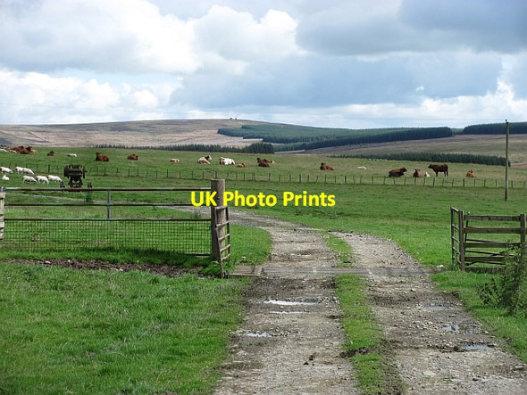 Photo 6"x4" Twin Law view Blythe c2011