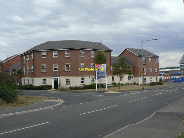 Photo 6"x4" Cherry Orchards Calverton\/SK6149 c2011