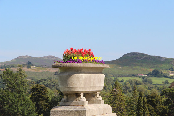 Photo 6"x4" Colourful Planter, Powerscourt, County Wicklow, Ireland Enniskerry c2011