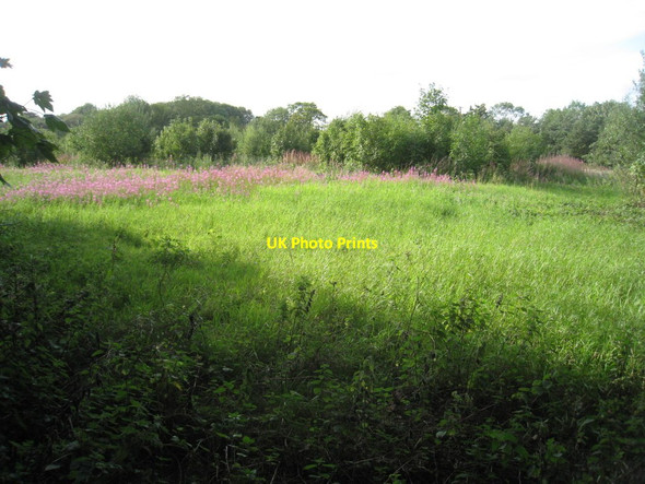 Photo 6"x4" The site of Burnham Village Burnham\/TA0517 c2011