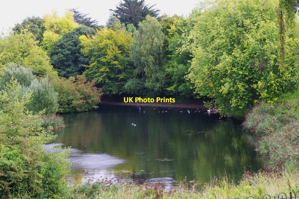 Photo 6"x4" Lake, Phoenix Park, Dublin Islandbridge c2010
