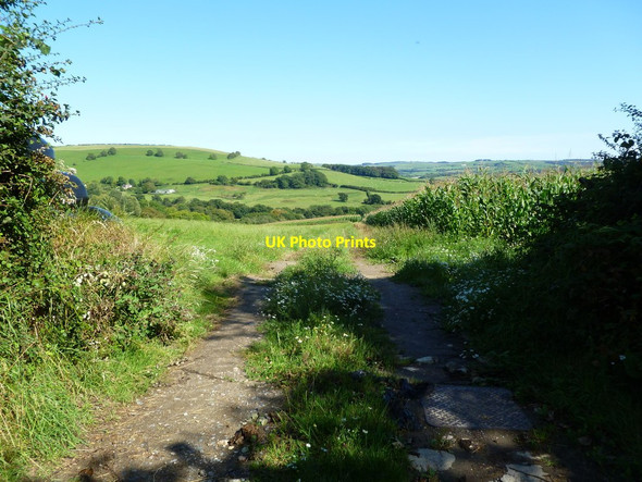 Photo 6"x4" Chilcombe, bridleway Chilcombe\/SY5291 c2011