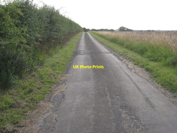 Photo 6"x4" The road to Wootton Dale Burnham\/TA0517 c2011