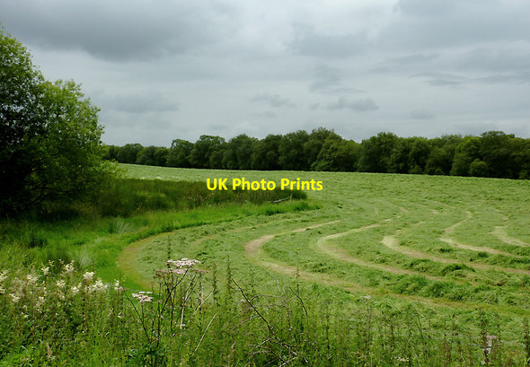 Photo 6"x4" Grass field north-east of Tregaron, Ceredigion Swyddffynnon c2011