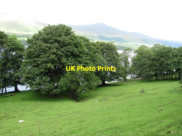 Photo 6"x4" Grassland beside Loch Tay Ardeonaig c2011
