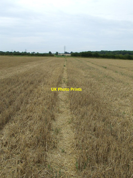 Photo 6"x4" Marked Footpath Barking Tye c2011
