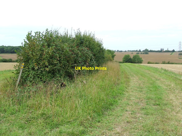 Photo 6"x4" Footpath Junction Barking Tye c2011