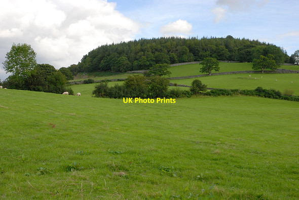 Photo 6"x4" Fields east of Ty'n-y-cefn Brithdir\/SH7618 c2011