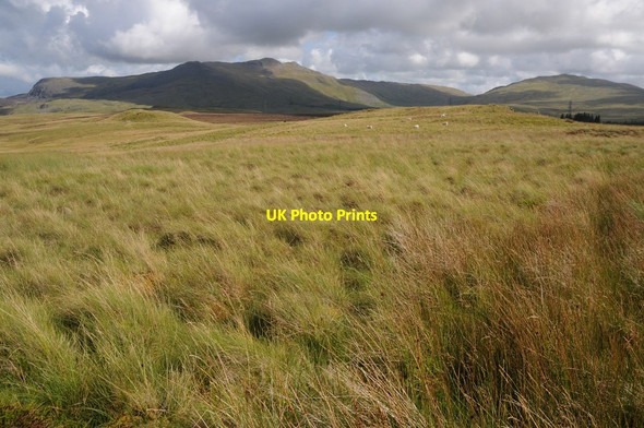 Photo 6"x4" Bryniau Poethion Bryniau Poethion c2011