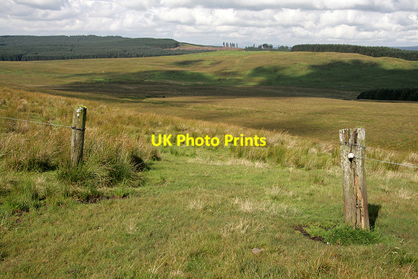 Photo 6"x4" Posts on Pleamoss Hill Pleamoss Hill c2011