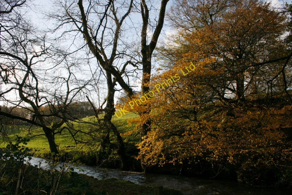 Photo 6"x4" The Buckland Burn Kirkcudbright c2006