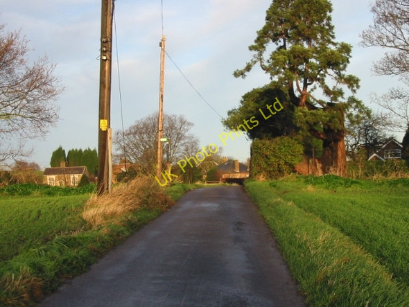 Photo 6"x4" Looking towards Woodnesborough along small road. Sandwich c2007