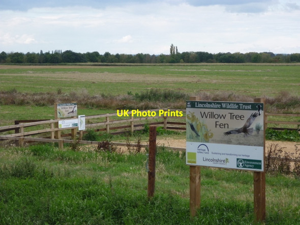 Photo 6"x4" Willow Tree Fen, Lincolnshire Wildlife Trust Guthram Gowt c2011