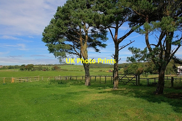 Photo 6"x4" Paddock near Brooklands Farm Harwood Dale c2011
