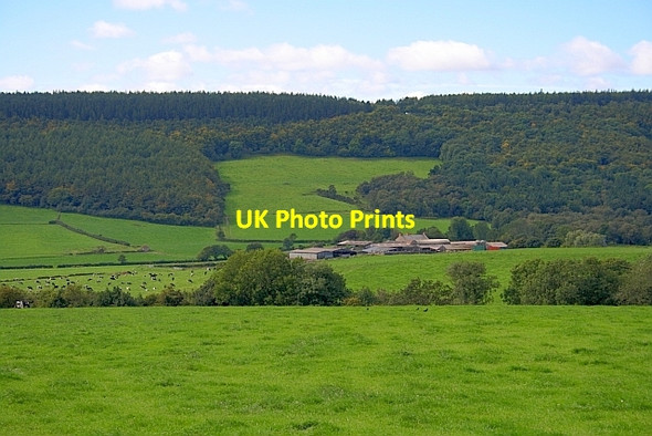 Photo 6"x4" Burgate Farm Harwood Dale c2011