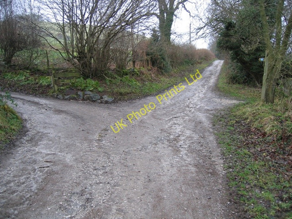 Photo 6"x4" Drovers Road to Moel Dywyll Pentre\/SJ1764 c2007