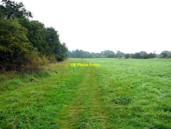 Photo 6"x4" Footpath by Waskerley Beck Upper Town\/NZ0737 c2011
