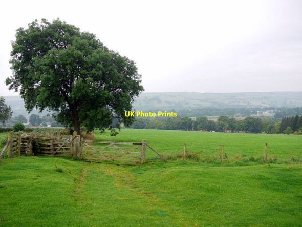 Photo 6"x4" Footpath east of Holywood Upper Town\/NZ0737 c2011