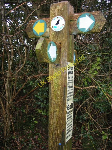 Photo 6"x4" A Plethora of Footpaths Pentre\/SJ1764 c2007