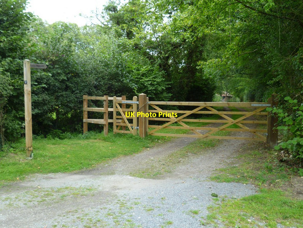 Photo 6"x4" Footpath off Knightons Lane Dunsfold Common c2011
