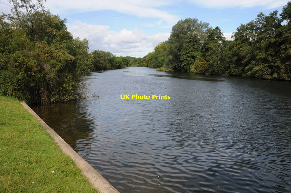 Photo 6"x4" The Thames at Runnymede Egham c2011