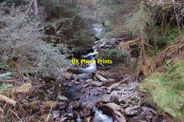 Photo 6"x4" Burn from Gleann Riabhach, Achray Forest Achray Water c2011