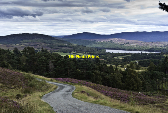 Photo 6"x4" Road down to Migdale Airdens c2011