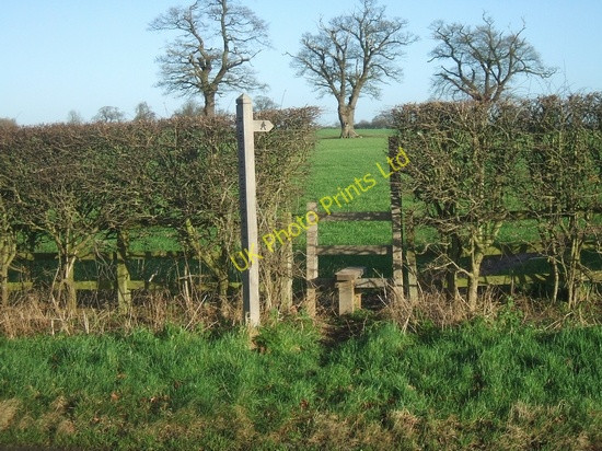 Photo 6"x4" Footpath to Crateford Somerford\/SJ8908 c2007