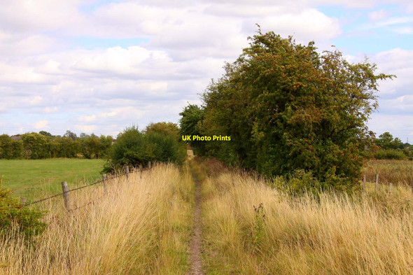 Photo 6"x4" Bridleway to Drayton Drayton\/SU4794 c2011