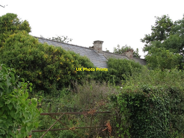 Photo 6"x4" Abandoned farmhouse on the Lackan Road Kilcoo c2011