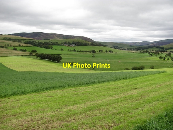 Photo 6"x4" Silage crop Broughton\/NT1136 c2011