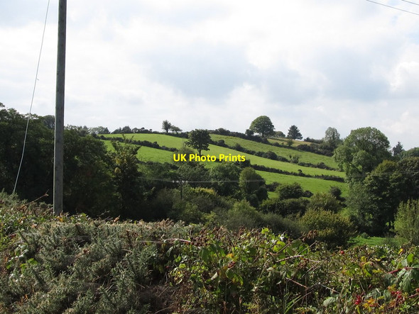 Photo 6"x4" Fields on the slope between Bannanstown Road and Ballymaginaghy Roads Castlewellan c2011