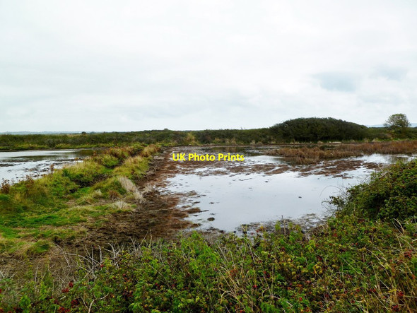 Photo 6"x4" Pennington Marshes Lower Pennington c2011