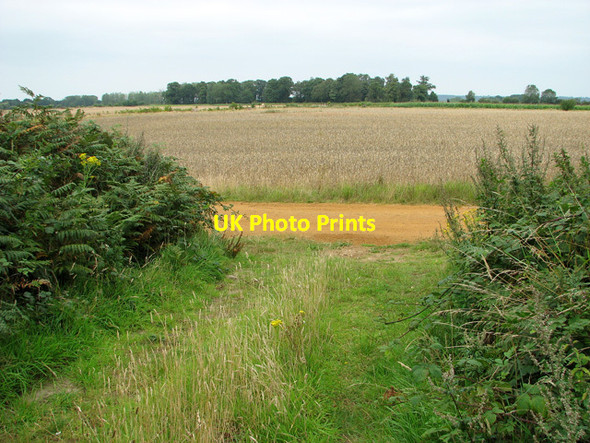 Photo 6"x4" View towards Broad Wood, Castle Rising Castle Rising c2011