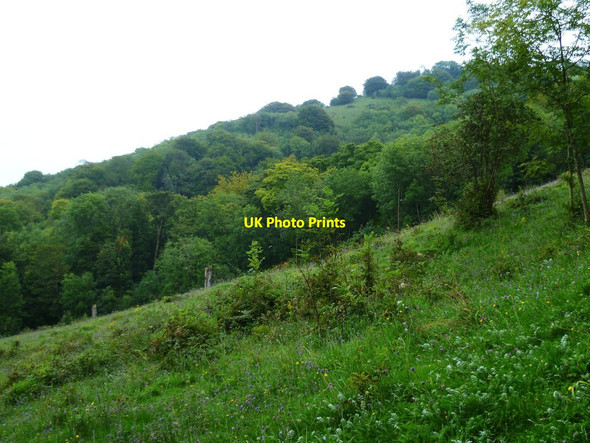 Photo 6"x4" Changing seasons Washington\/TQ1212 c2011