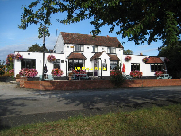 Photo 6"x4" The Yorkshire Grey Earl's Croome c2011