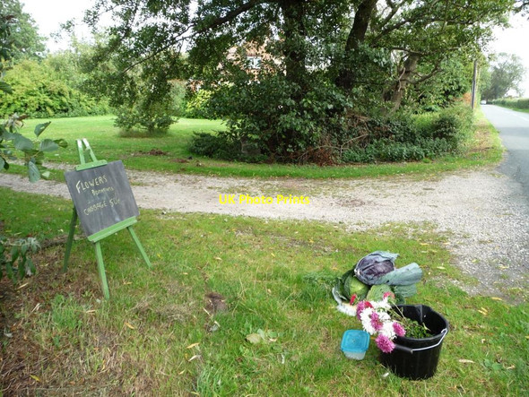 Photo 6"x4" Garden produce for sale, West Bank Hirst Courtney c2011