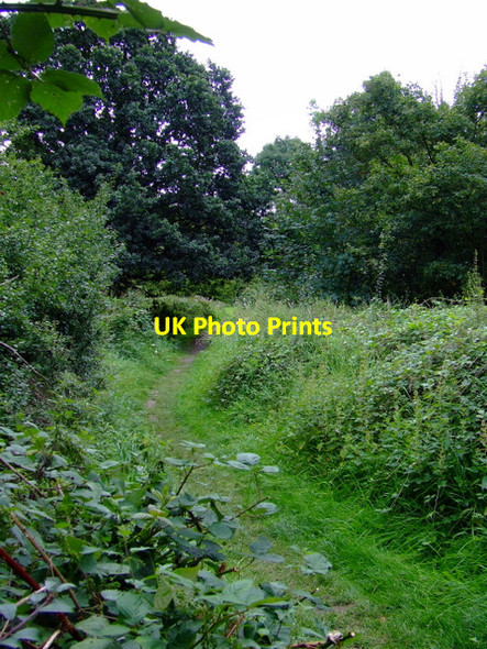 Photo 6"x4" Footpath by the Grand Union Canal Southall c2011