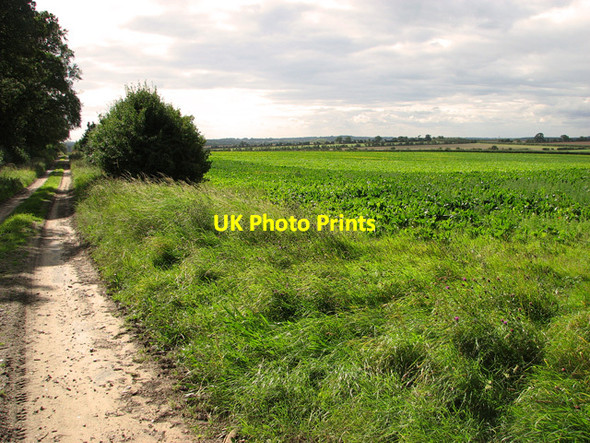 Photo 6"x4" Bridleway by Green Hill Wood, Gayton Gayton Thorpe c2011