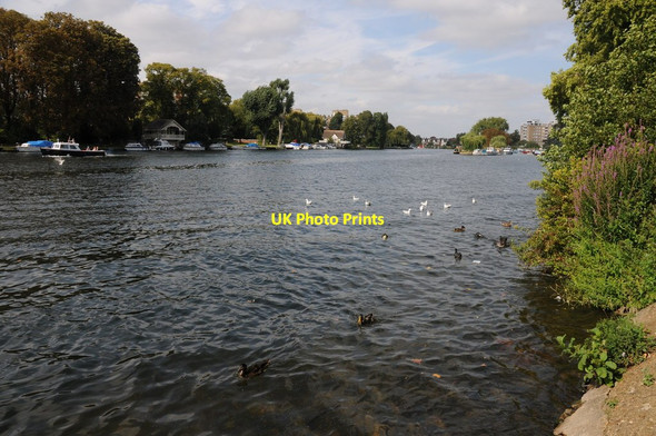 Photo 6"x4" River Thames near Kingston Upon Thames Kingston Upon Thames c2011