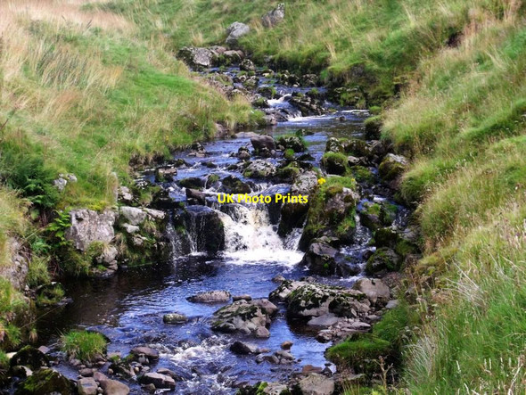 Photo 6"x4" Campsie Fells, Alnwick Burn [2] Clachan of Campsie c2011