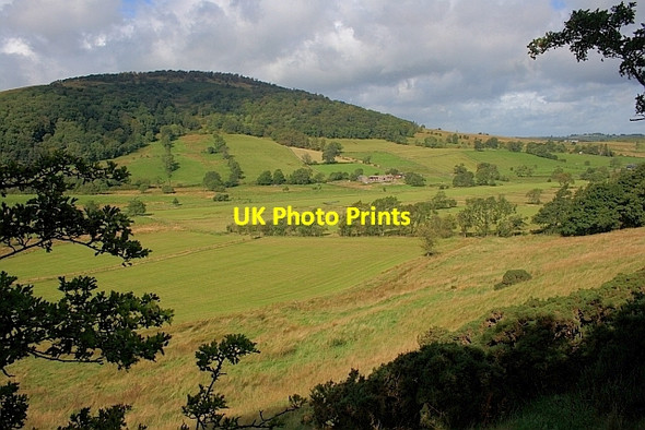 Photo 6"x4" Valley of Thackthwaite Beck Matterdale End c2011