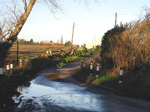 Photo 6"x4" Looking NW along lane from Ware. Ware\/TR2760 c2007