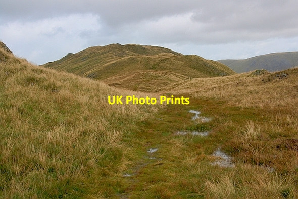 Photo 6"x4" Path, Martindale Common Rooking c2011