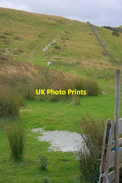 Photo 6"x4" Track up from The Hause Longthwaite\/NY4322 c2011
